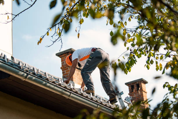Quick and Trustworthy Emergency Roof Repair Services in Beverly Hills, CA