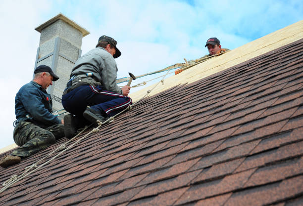 Roof Waterproofing Services in Beverly Hills, CA